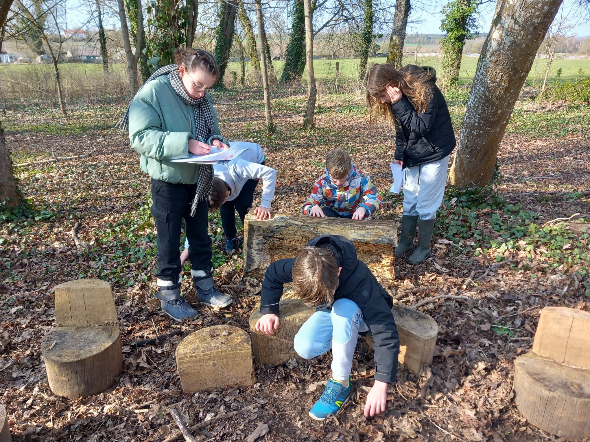 Foretsleffonds170310