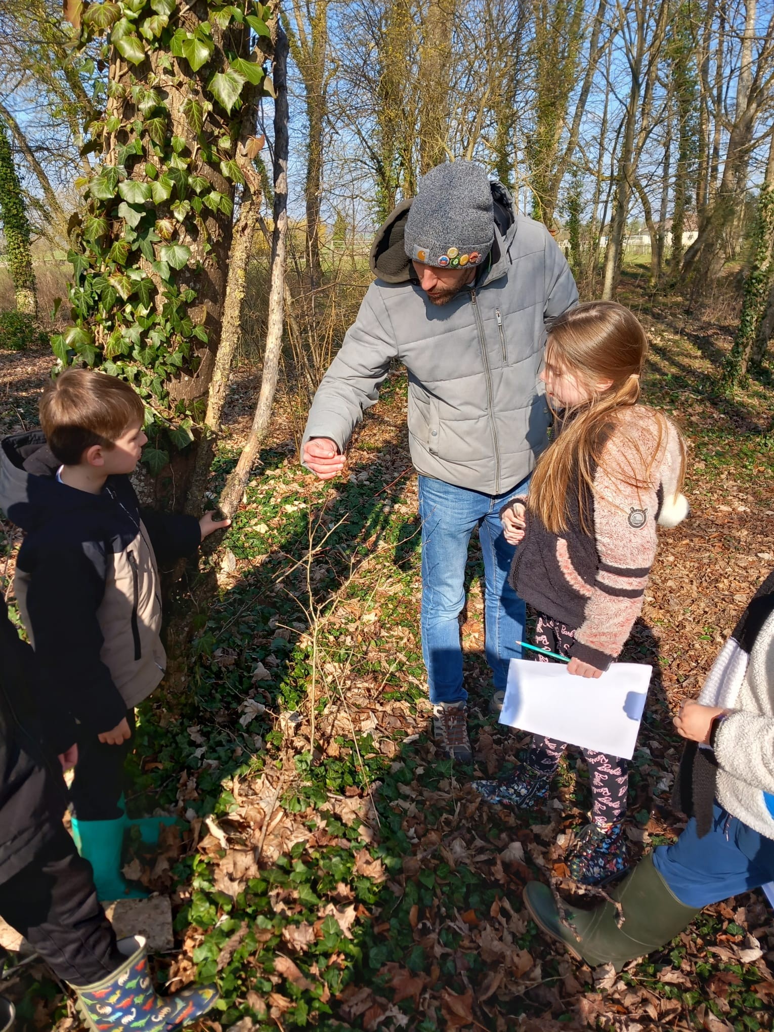 Foretsleffonds170311