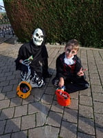Hallowleffonds281011