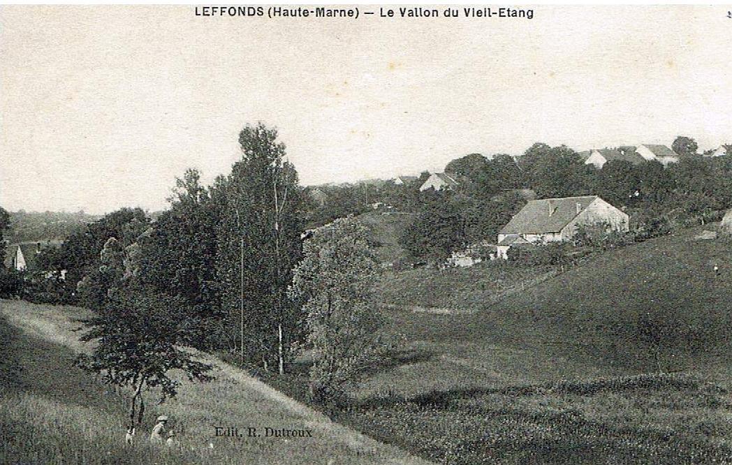 Le vallon du vieil étang