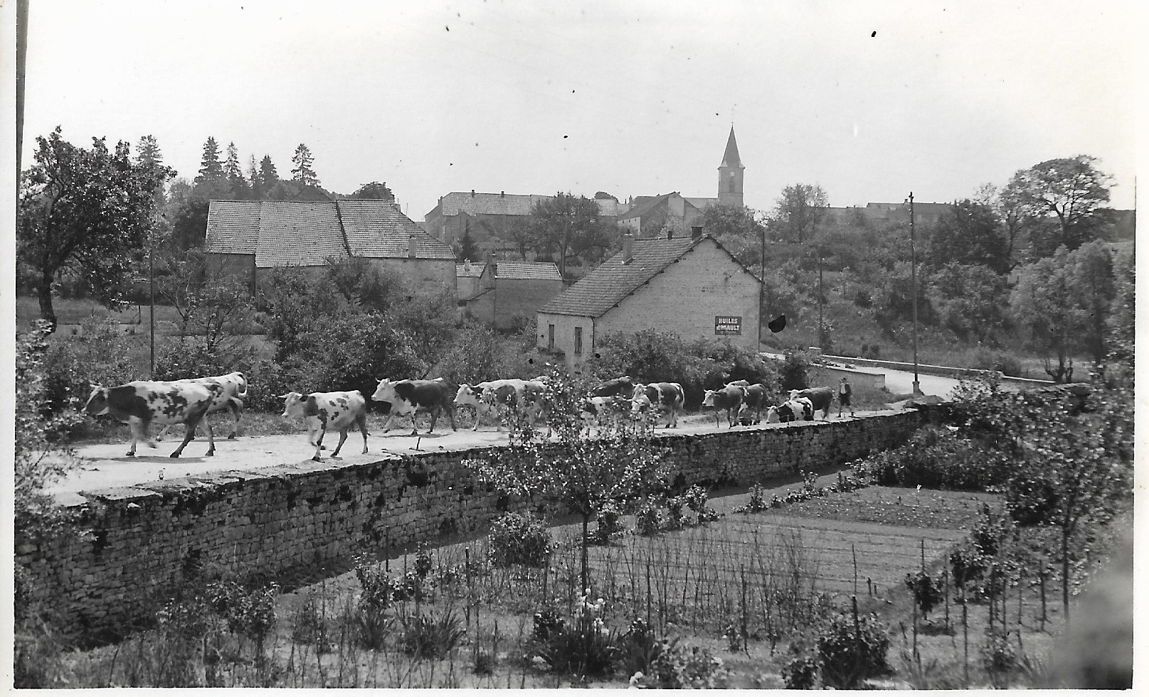 Leffonds devant fromagerie 1933