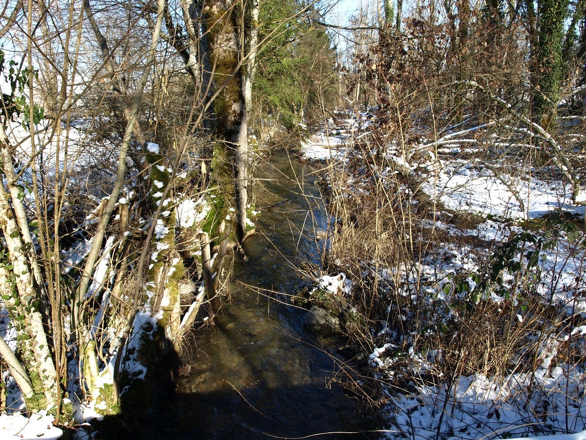 Le ruisseau des Sointures- février-2021-(-12°)