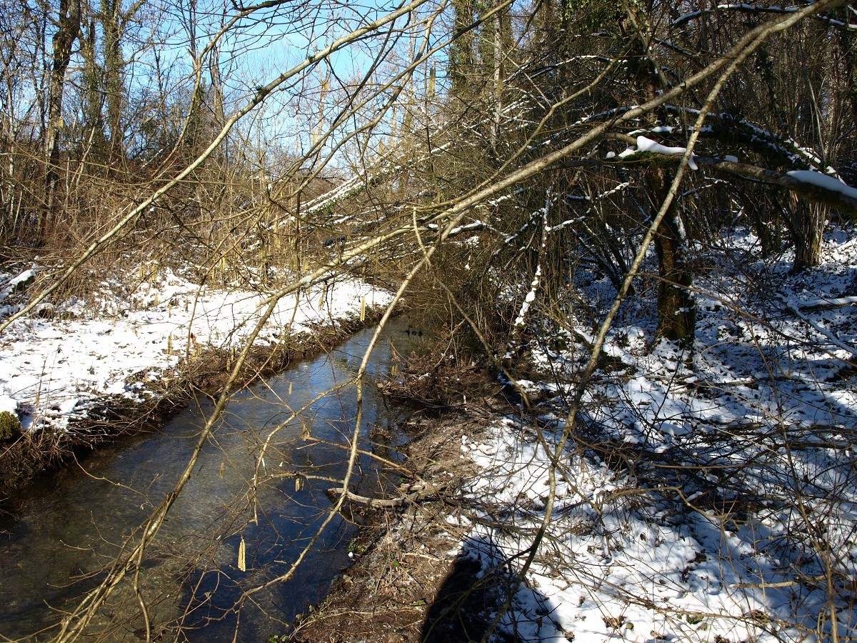 Le ruisseau des Sointures- février-2021-(-12°)