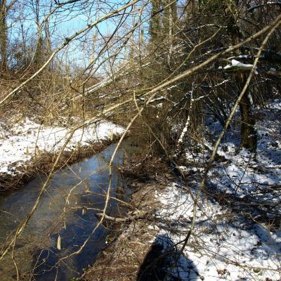 Le ruisseau des Sointures- février-2021-(-12°)