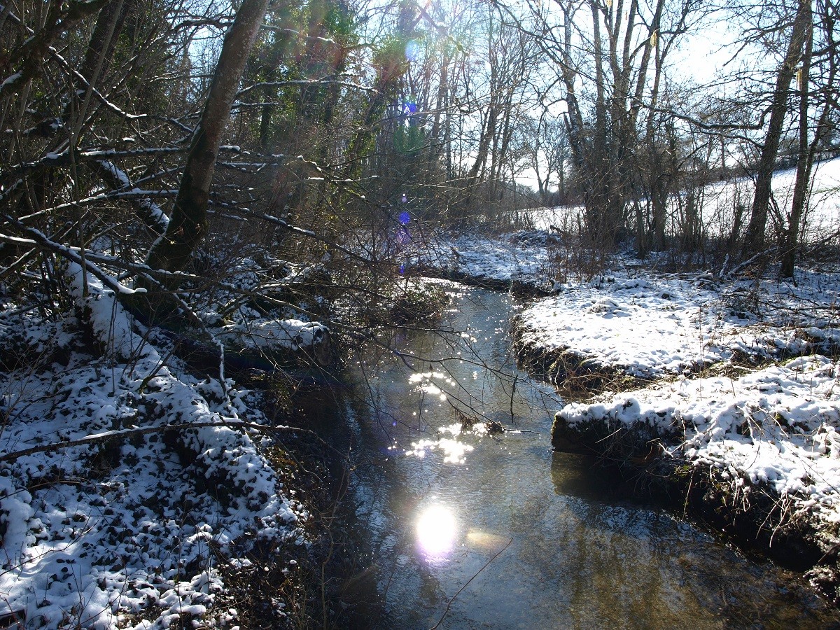 Le ruisseau des Sointures- février-2021-(-12°)