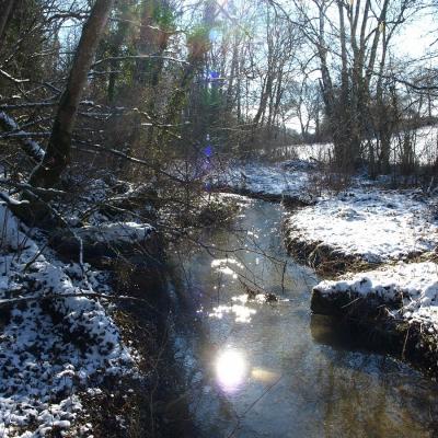 Le ruisseau des Sointures- février-2021-(-12°)