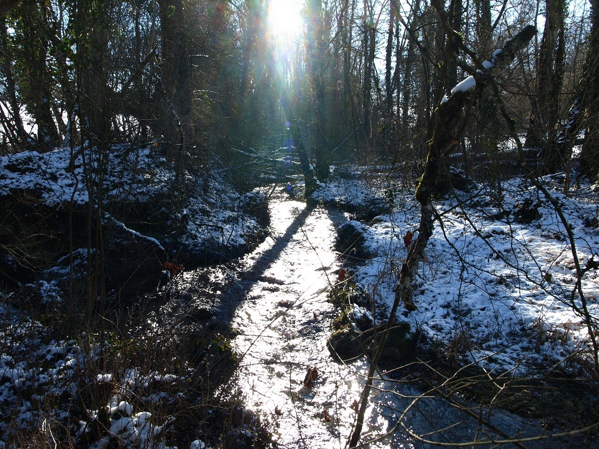 Le ruisseau des Sointures- février-2021-(-12°)