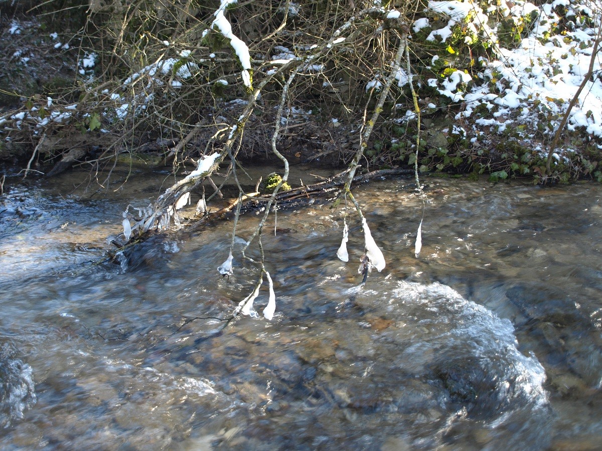 Le ruisseau des Sointures- février-2021-(-12°)