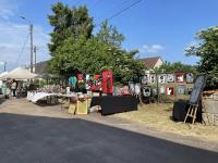 Mormant fete les arts le 10 juin 2023 50 