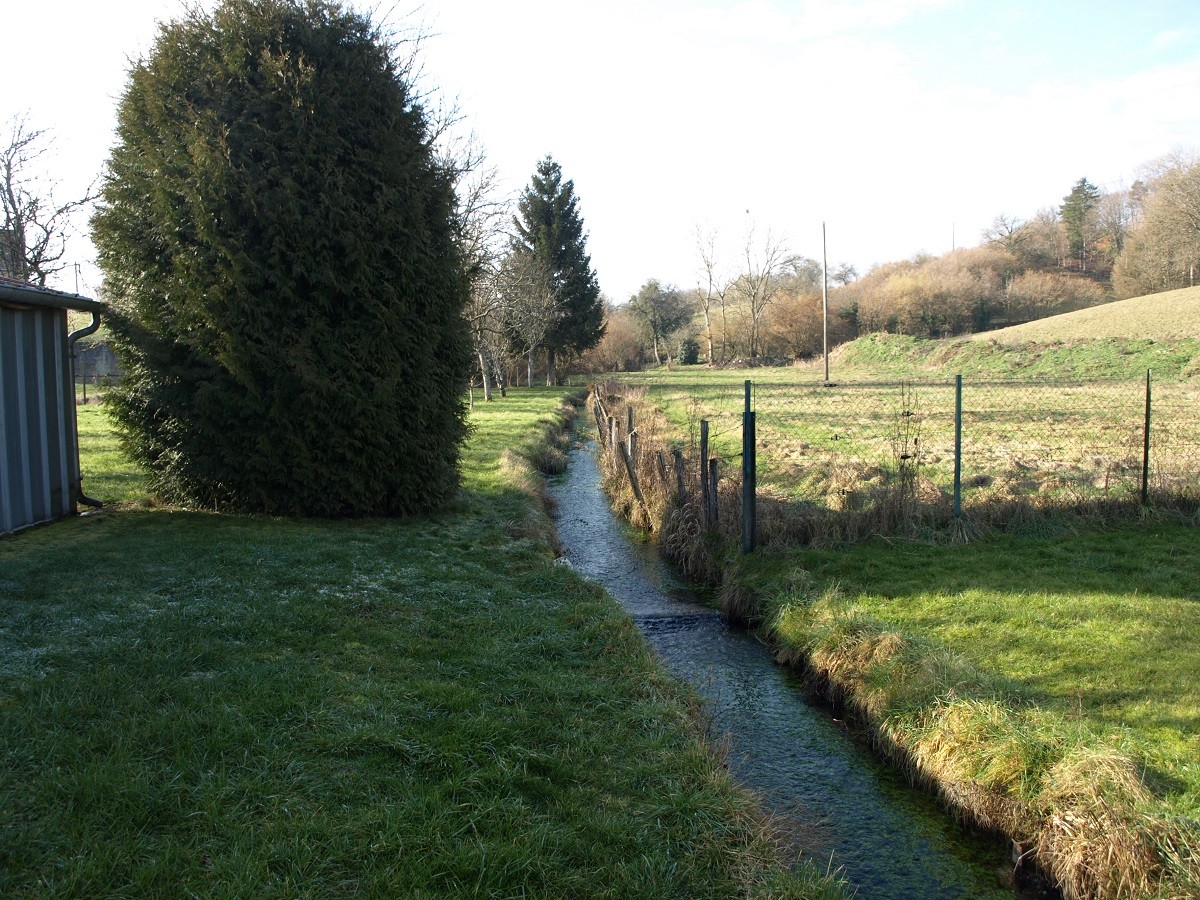 Le vallon traversé par le ruisseau des Sointures