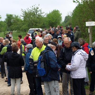 Via-Francigena-Leffonds-2016 (46)