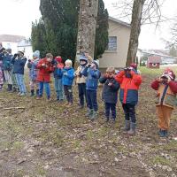 Comment observer les oiseaux avec des jumelles