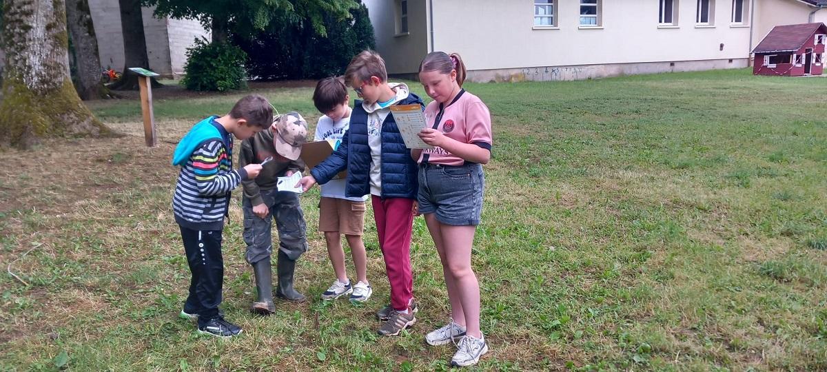 Les ATE du 11 juin 2026