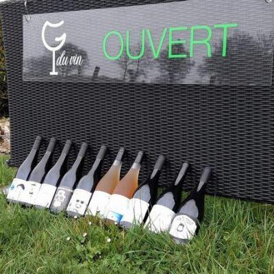 Nouveau site internet de G Du Vin