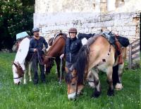 Pellerins sur la via francigena